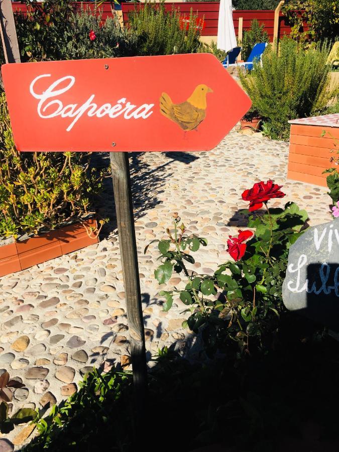 Imperio De Memorias - Casa De Campo Gavião Exterior foto